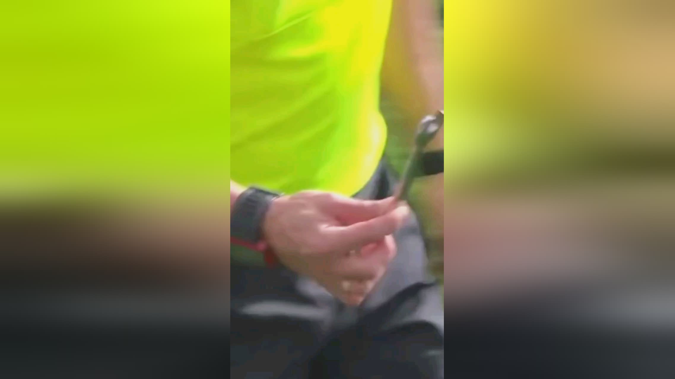 力证明